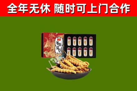 大竹回收冬虫夏草价格